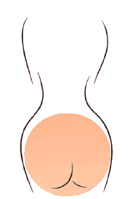 Round glute shape